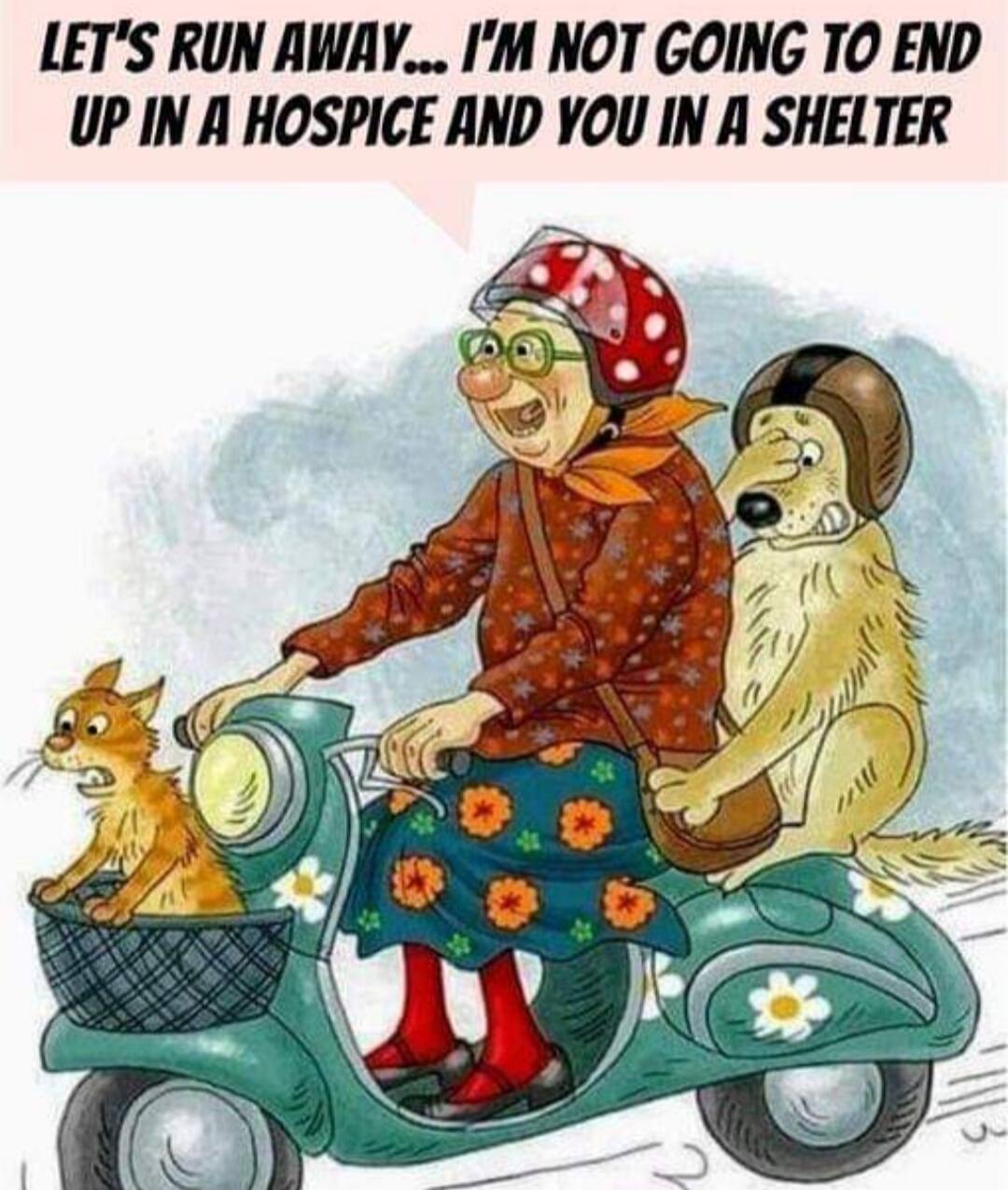LET'S RUN AWAY... I'M NOT GOING TO END UP IN A HOSPICE AND YOU IN A SHELTER