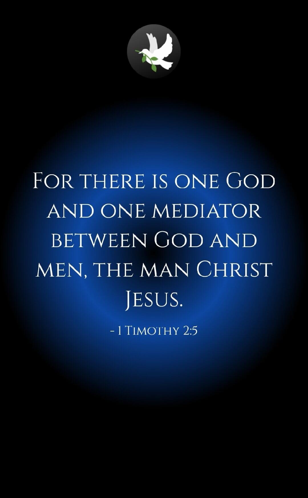 FOR THERE IS ONE GOD AND ONE MEDIATOR BETWEEN GOD AND MEN, THE MAN CHRIST JESUS. - 1 TIMOTHY 2:5