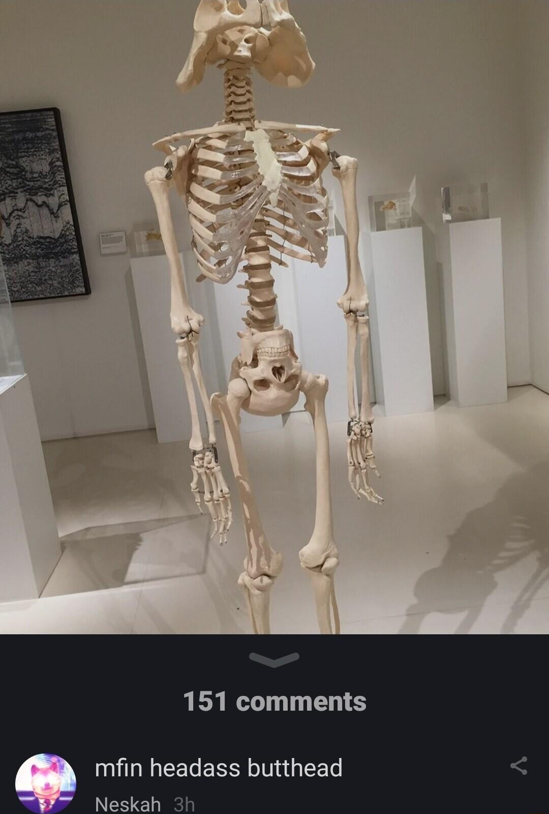 151 comments mfin headass butthead Neskah 3h