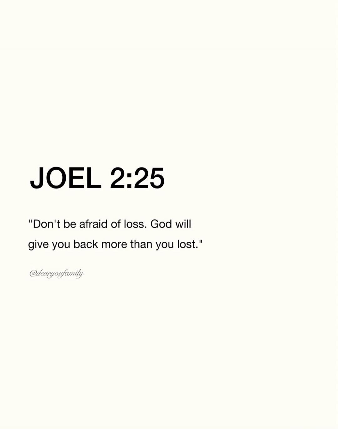 JOEL 2:25 
