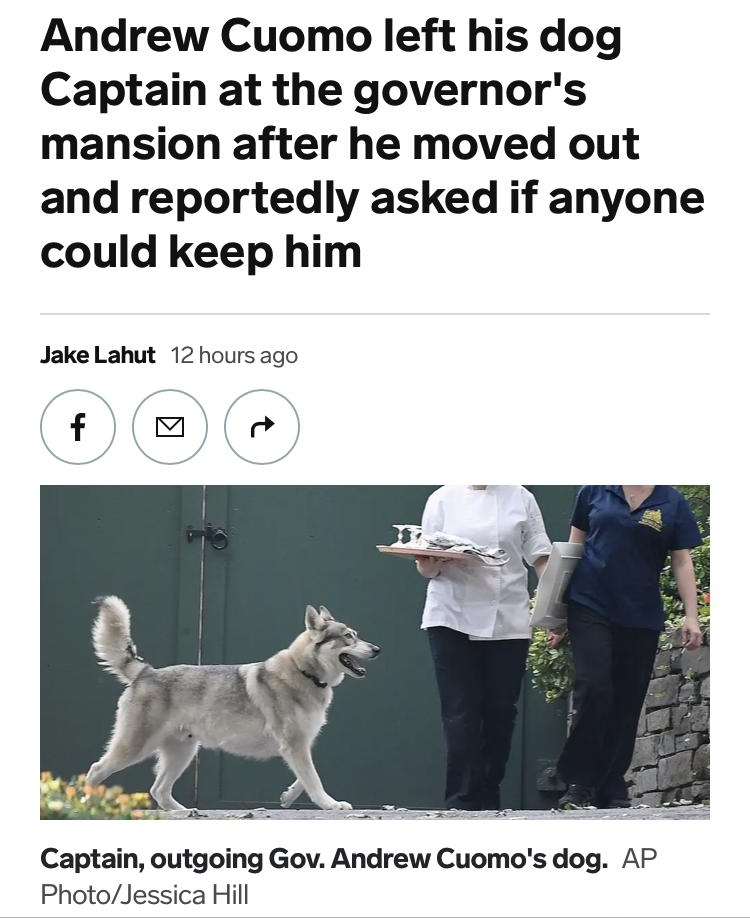 Andrew Cuomo left his dog Captain at the governors mansion after he moved out and reportedly asked if anyone could keep him Jake Lahut 12 hours ago f x Iad j Captain outgoing Gov Andrew Cuomos dog AP PhotoJessica Hill