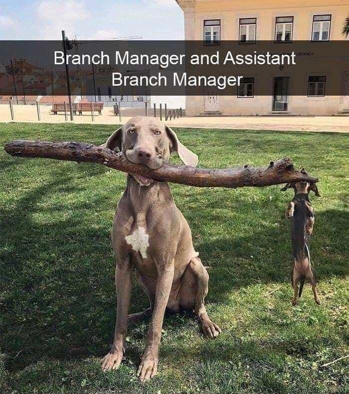 el Branch Manager and Assistant ETale o W ElETe T WA