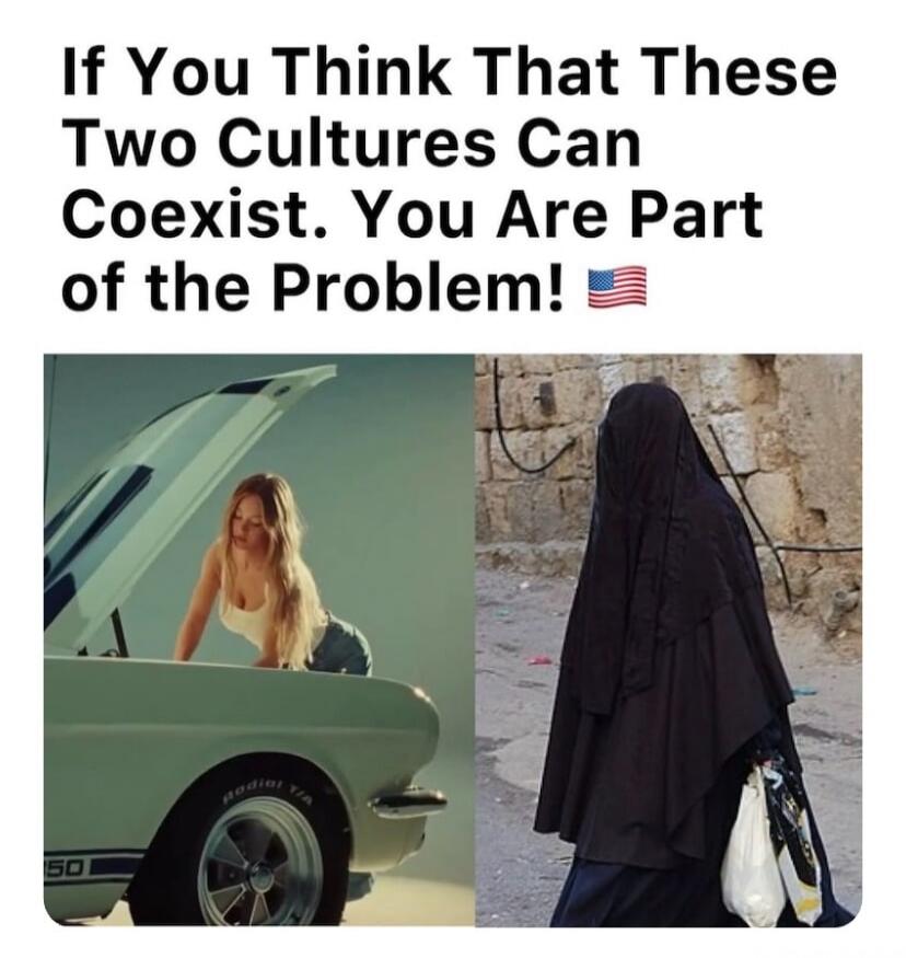 If You Think That These Two Cultures Can Coexist. You Are Part of the Problem! 🇺🇸