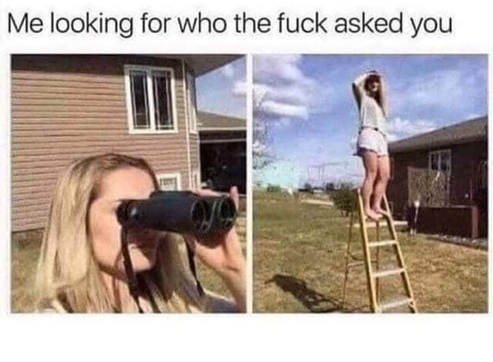 Me looking for who the fuck asked you