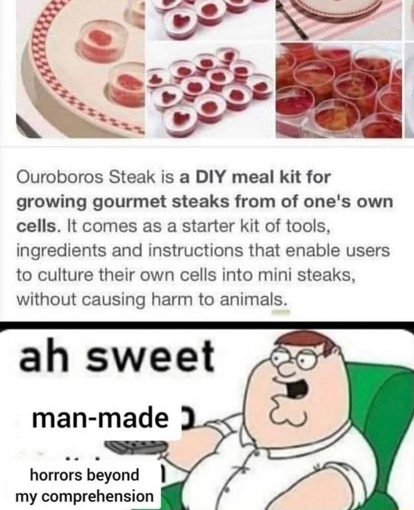 Ouroboros Steak is a DIY meal kit for growing gourmet steaks from of ones own cells It comes as a starter kit of tools ingredients and instructions that enable users to culture their own cells into mini steaks without causing harm to animals man made horrors beyond my comprehension