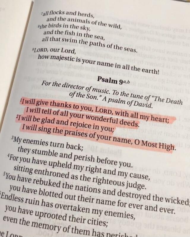all flocks and herds, and the animals of the wild, the birds in the sky, and the fish in the sea, all that swim the paths of the seas. LORD, our Lord, how majestic is your name in all the earth! Psalm 9a,b For the director of music. To the tune of 