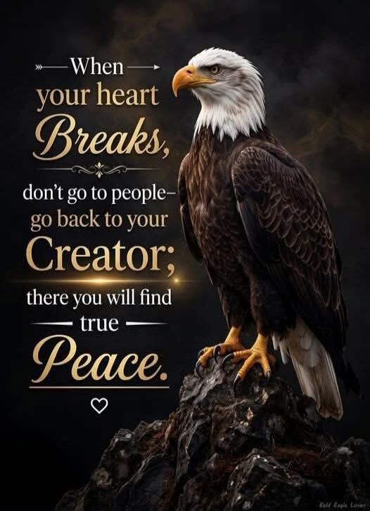 When your heart Breaks, don't go to people - go back to your Creator; there you will find true Peace.