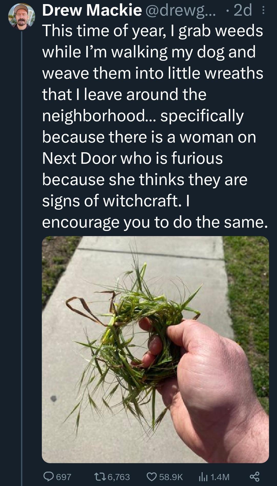 Drew Mackie drewg 2d This time of year grab weeds while Im walking my dog and WEEVERGE R o ad AW E T 1 that I leave around the AC1J1s oTeaTe oTe BT o1Tel1 i Tox111Y because there is a woman on Next Door who is furious because she thinks they are signs of witchcraft encourage you to do the same Q697 116763 589K litam