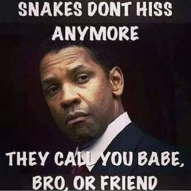 SNAKES DONT HISS ANYMORE THEY cm 03 0 d3414