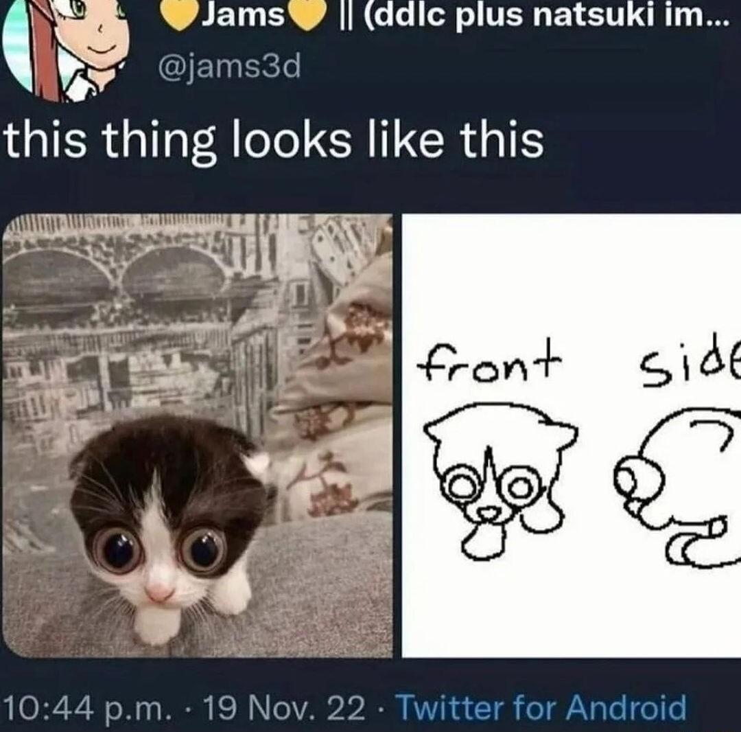 183c WJamsW ddic plus natsuki im U o this thing looks like this 44 pm 19 Nov 22 Twitter for Android