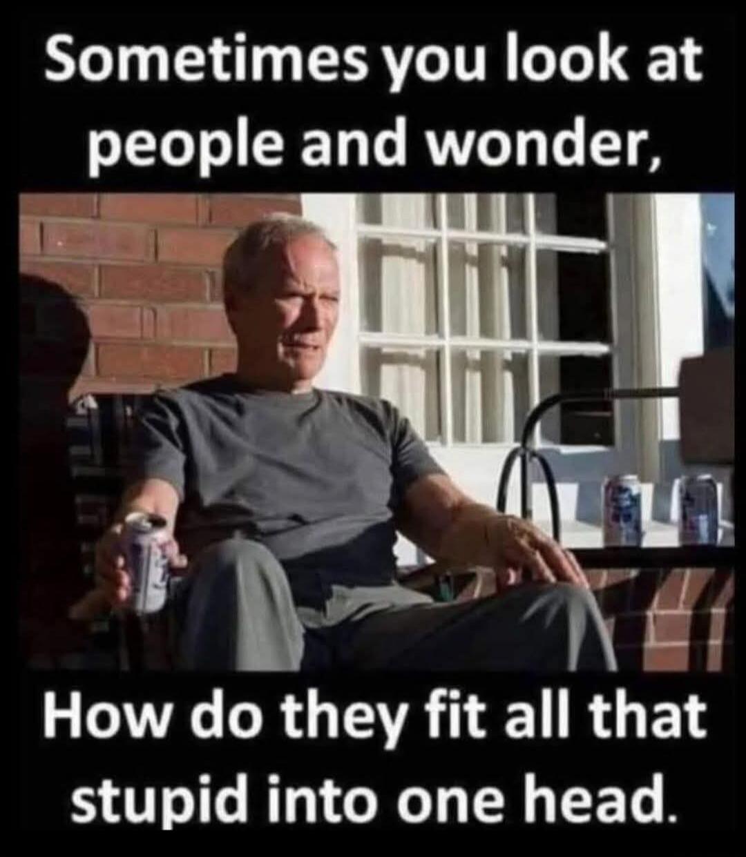 Sometimes you look at people and wonder, How do they fit all that stupid into one head.