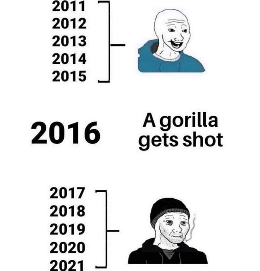 Agorilla 2016 ges shot Pel