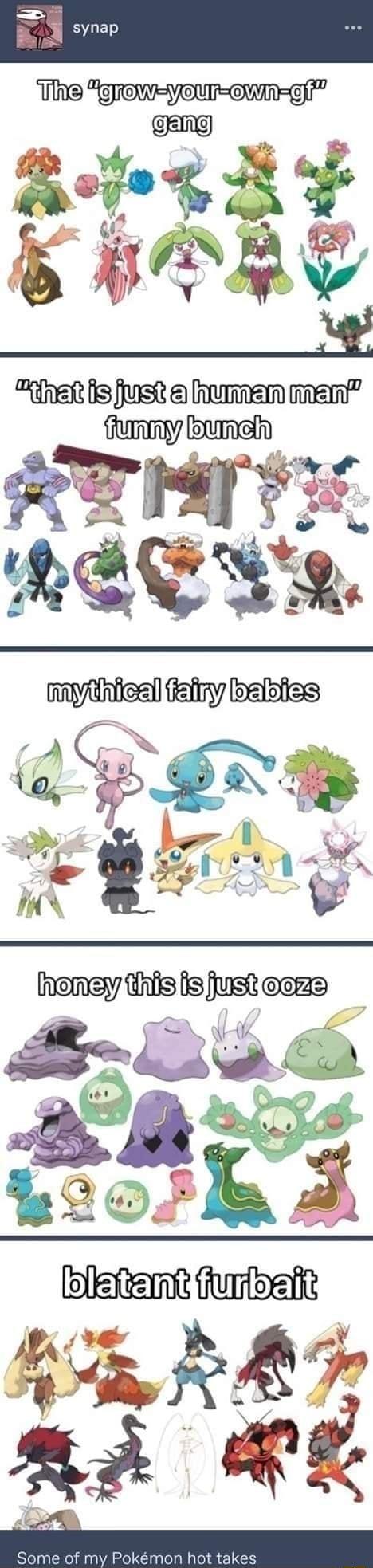 TThe JerowyourCWngji M