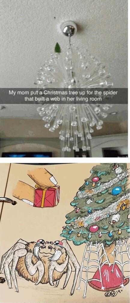 My mom put a Christmas tree up for the spider that built a web in her living room