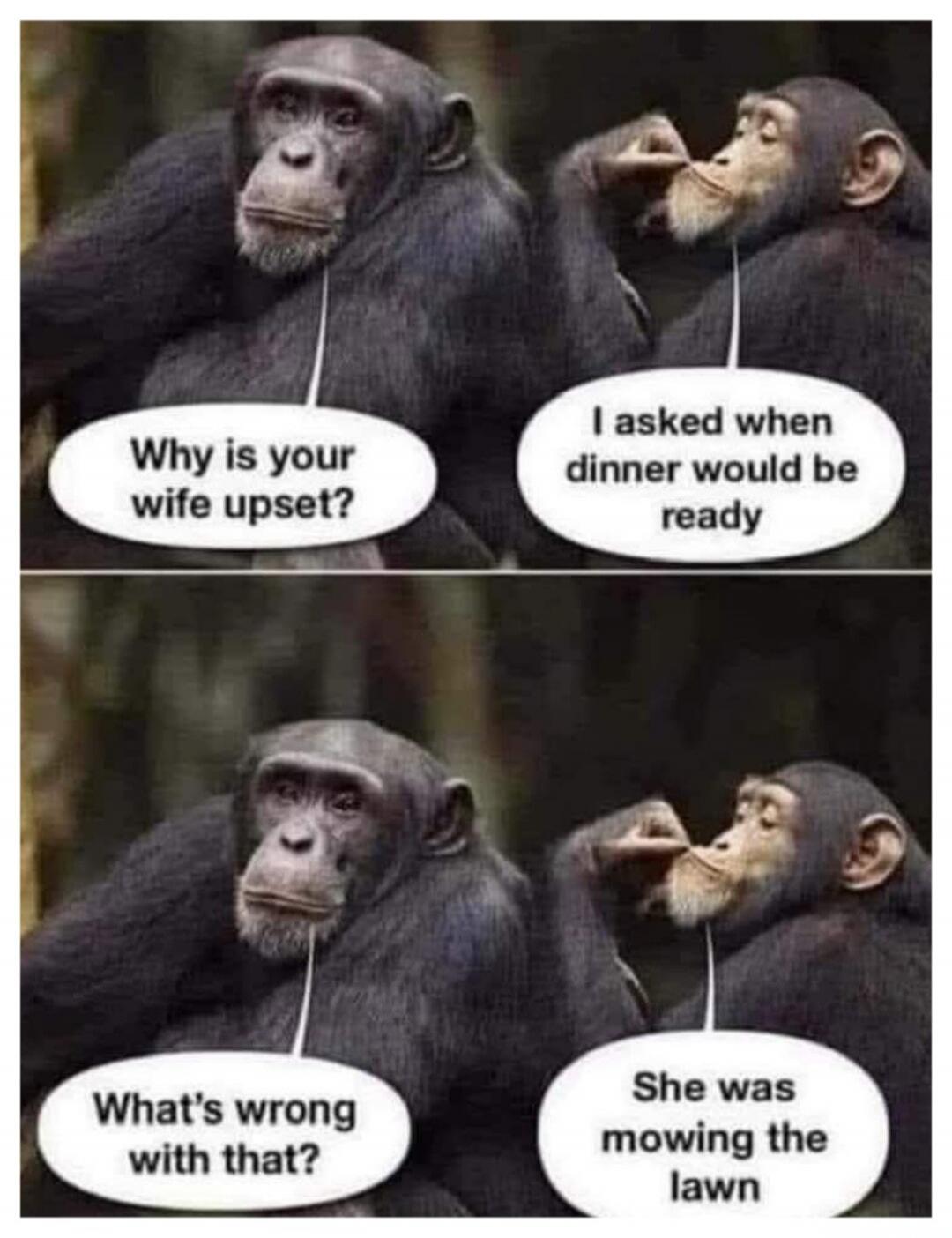 Why is your wife upset? I asked when dinner would be ready. What's wrong with that? She was mowing the lawn.