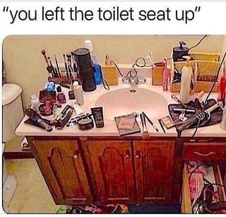 you left the toilet seat up