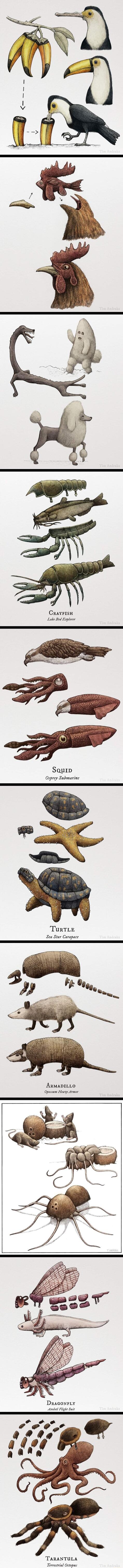 CravFIsH Lake Bed Explorer Sauip Osprey Submarine TurTLE Sea Star Carapace ArmapILLO Opsssum Heasy Armor DraconrLy Axolot Flight Suit TARANTULA Terrestrial Octopus