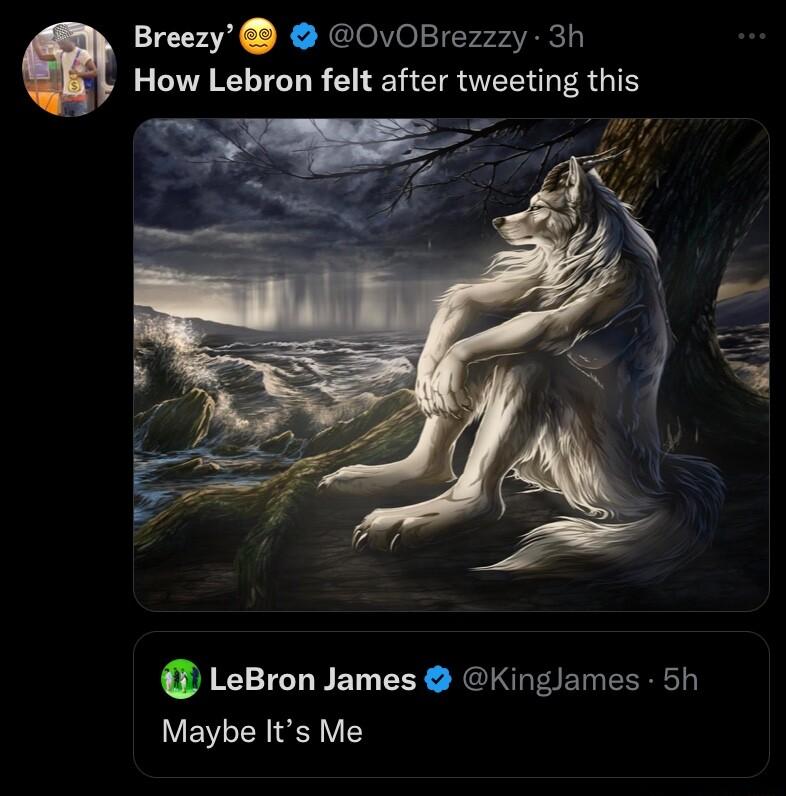 Breezy OvOBrezzzy 3h How Lebron felt after tweeting this LeBron James Kinglames 5h Maybe Its Me