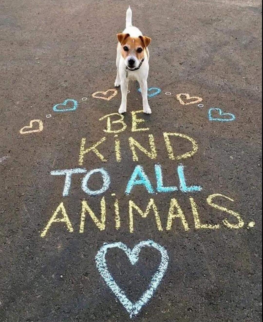 BE KIND TO ALL ANIMALS.