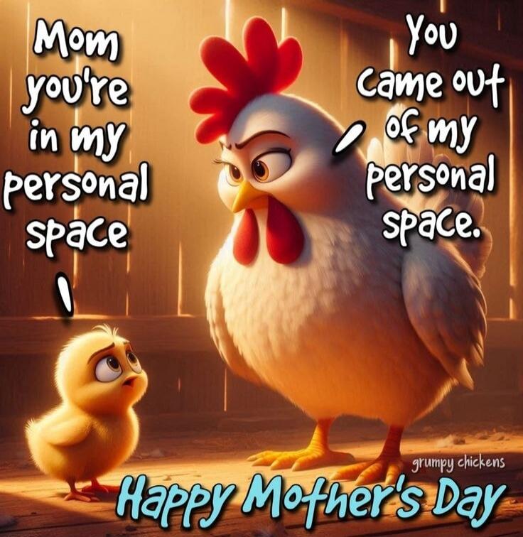 Mom you're in my personal space. You came out of my personal space. grumpy chickens Happy Mother's Day