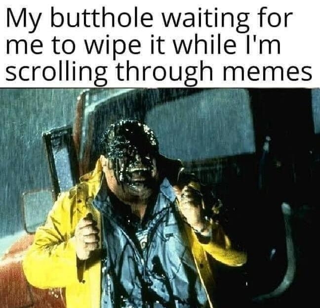 My butthole waiting for me to wipe it while Im rolling through memes oy T q A A