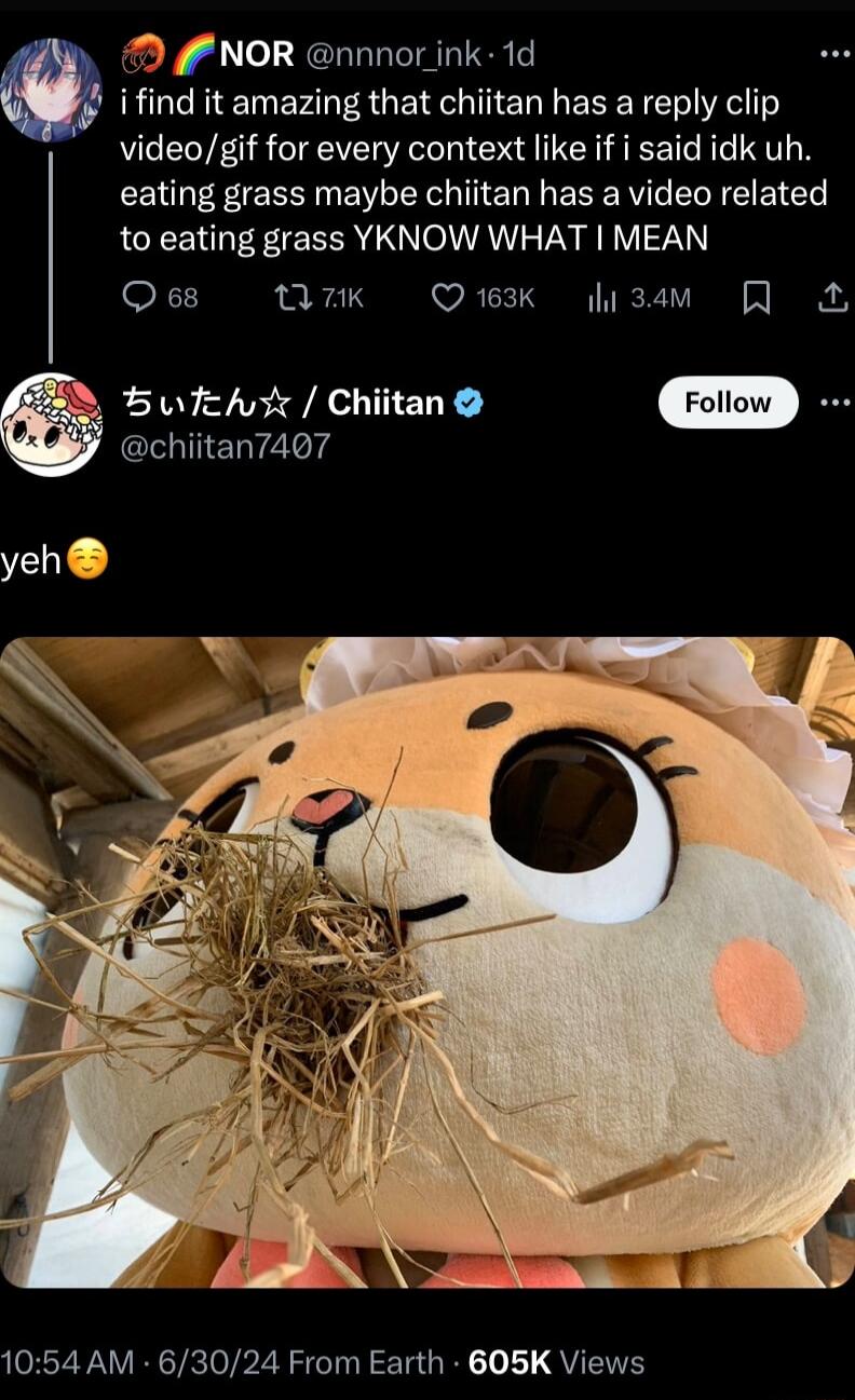 NOR nnnor ink 1d ifind it amazing that chiitan has a reply clip videogif for every context like if i said idk uh eating grass maybe chiitan has a video related to eating grass YKNOW WHAT MEAN Qs v 7K Q3 izam Bt Chitan chiitan7407 yeh 1054 AM 63024 From Earth 605K Views