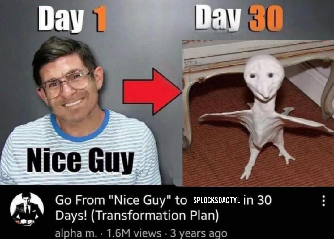Go From Nice Guy to susksentt in 30 ass Days Transformation Plan alpha m 16M views 3 years ago