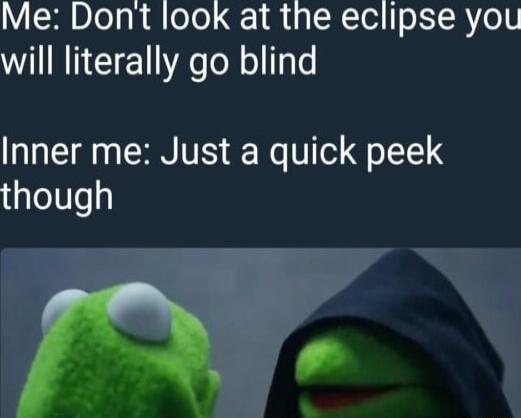 Me Don look at the eclipse you will literally go blind Inner me Just a quick peek though i