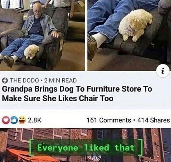 THE DODO 2 MIN READ Grandpa Brings Dog To Furniture Store To Make Sure She Likes Chair Too QD 28k 161 Comments 414 Shares R E B s SN Everyoneliked that ans s