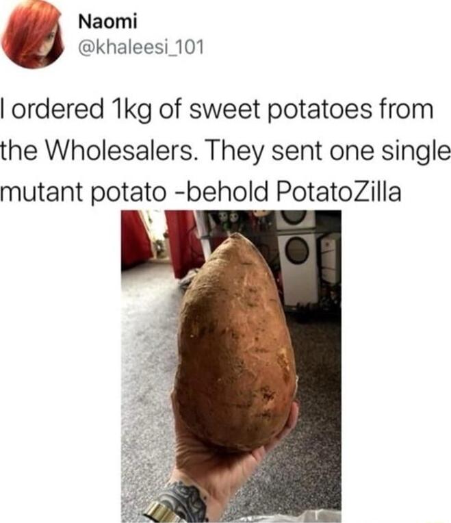 i Naomi khaleesi 101 ordered 1kg of sweet potatoes from the Wholesalers They sent one single mutant potato behold PotatoZilla