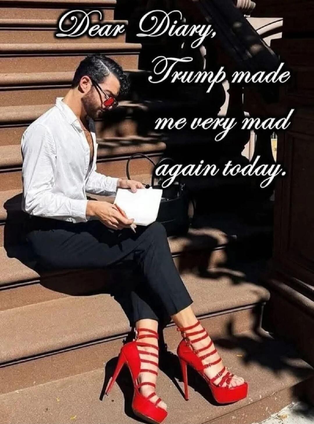 Dear Diary, Trump made me very mad again today.