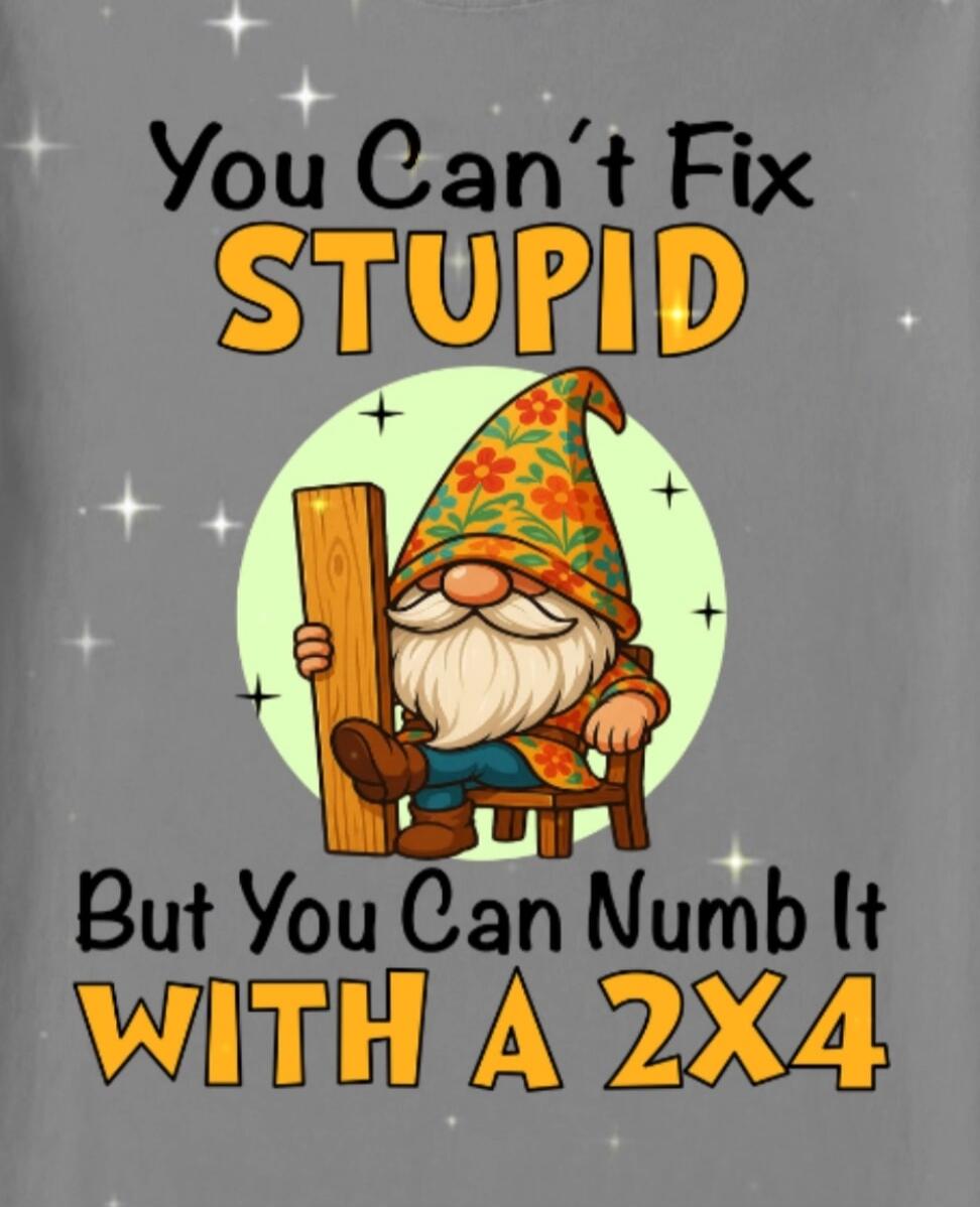 You Can't Fix STUPID But You Can Numb It WITH A 2X4