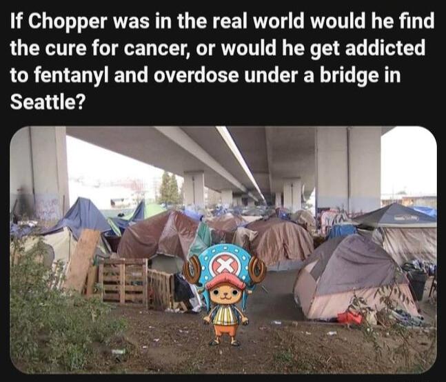 If Chopper was in the real world would he find the cure for cancer or would he get addicted to fentanyl and overdose under a bridge in Seattle