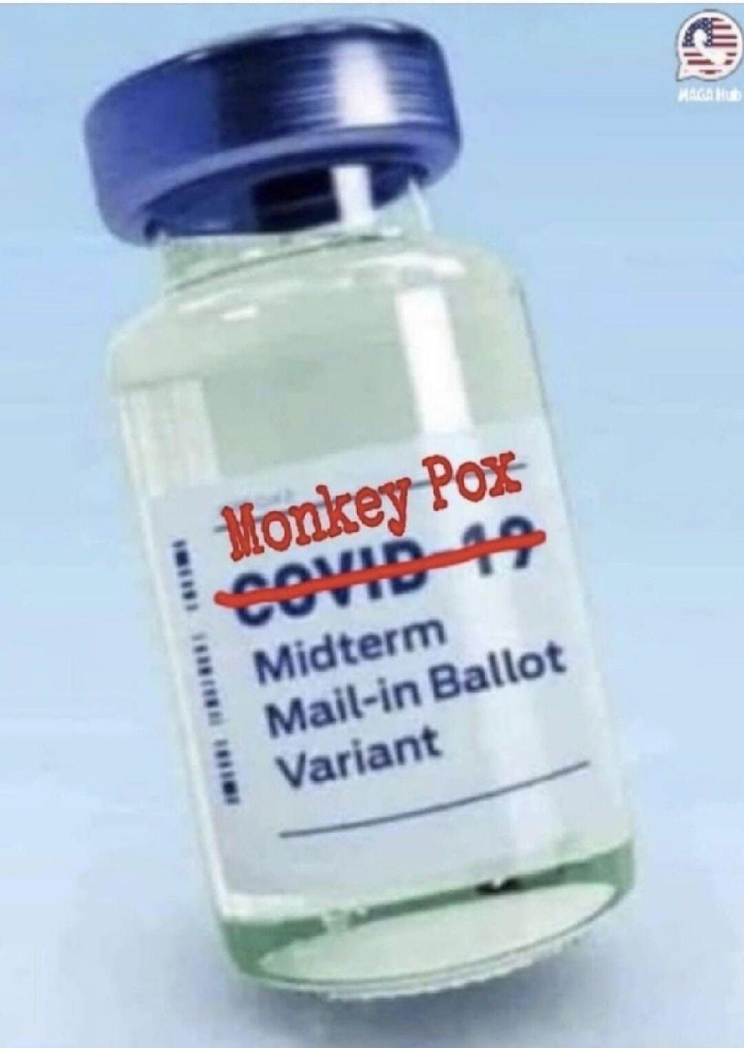 Monkey Pox COVID-19 Midterm Mail-in Ballot Variant MAGA Hub