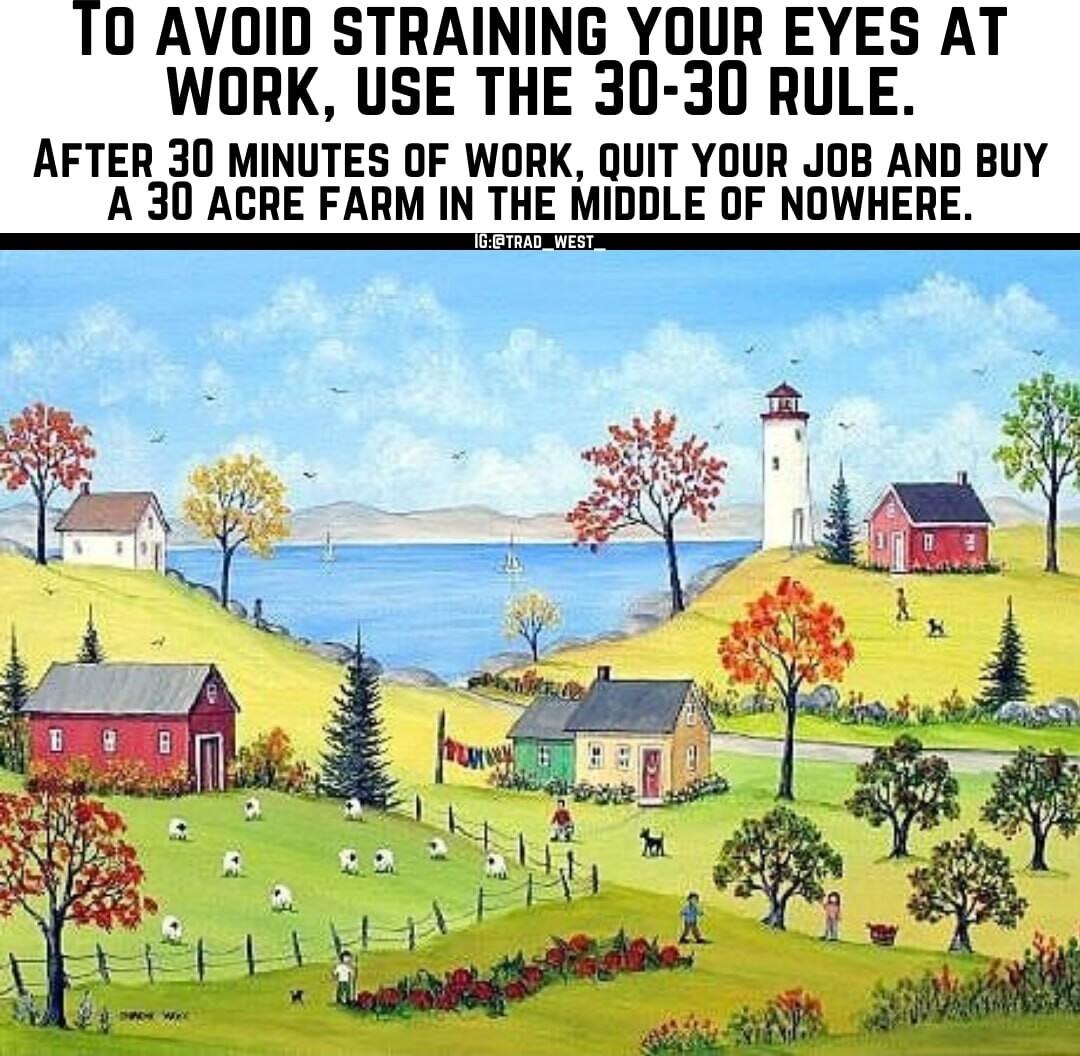10 AVOID STRAINING YOUR EYES AT WORK USE THE 30 30 RULE AFTER 30 MINUTES OF WORK QUIT YOUR JOB AND BUY A 30 ACRE FARM IN THE MIDDLE OF NOWHERE