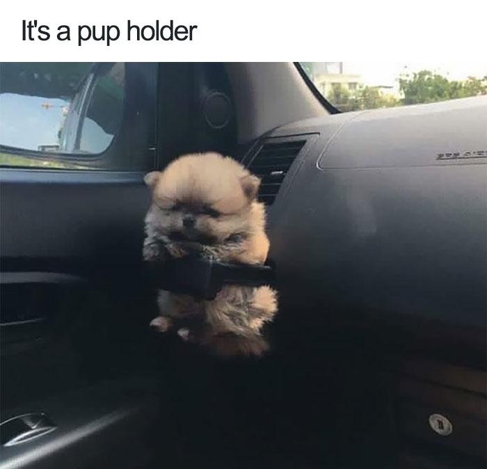 Its a pup holder