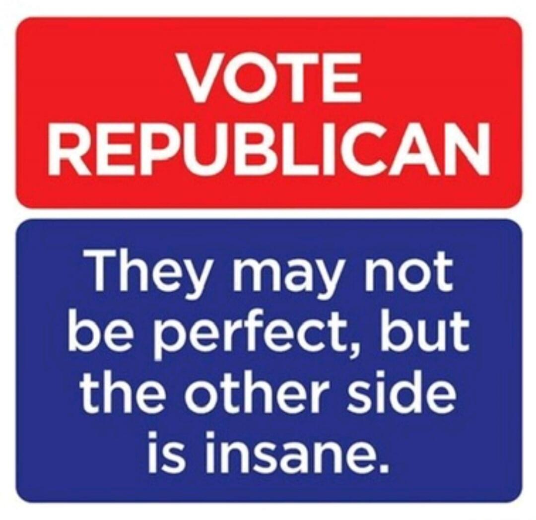 VOTE REPUBLICAN They may not be perfect, but the other side is insane.