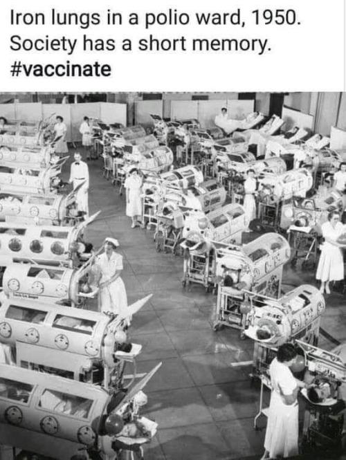 Iron lungs in a polio ward 1950 Society has a short memory vaccinate _