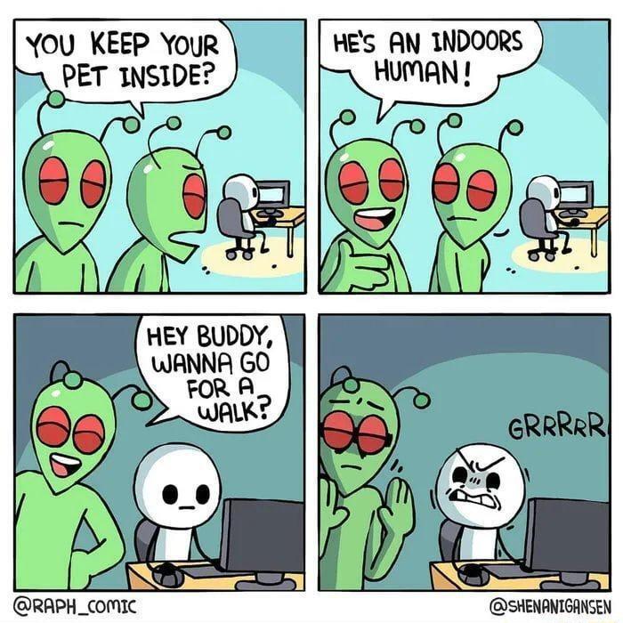 You KEEP YOuR HES AN INDOORS PET INSIDE HEY BUDDY WANNA GO RAPH_comIc SHENANTGANSEN