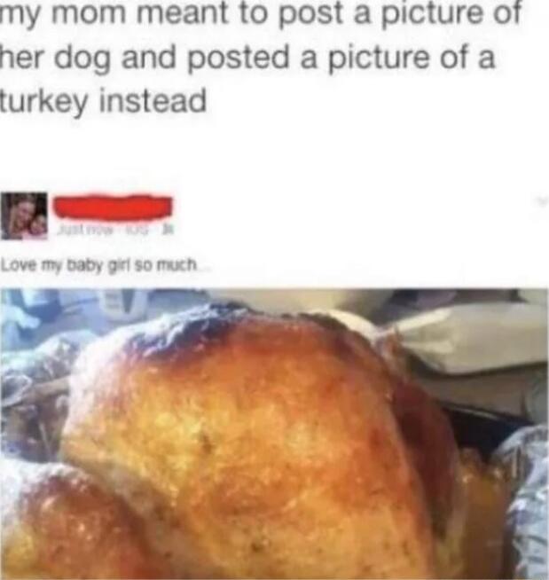 my mom meant to post a picture of her dog and posted a picture of a turkey instead. Love my baby girl so much...