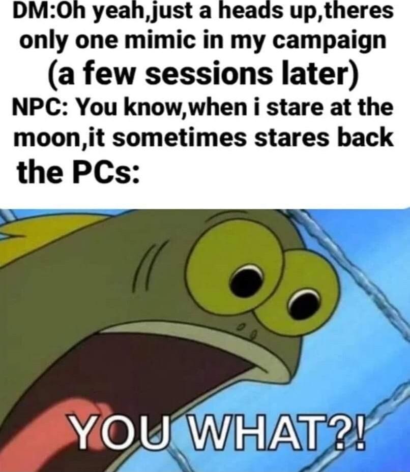 DMOh yeahjust a heads uptheres only one mimic in my campaign a few sessions later NPC You knowwhen i stare at the moonit sometimes stares back the PCs A0 URNEIATE