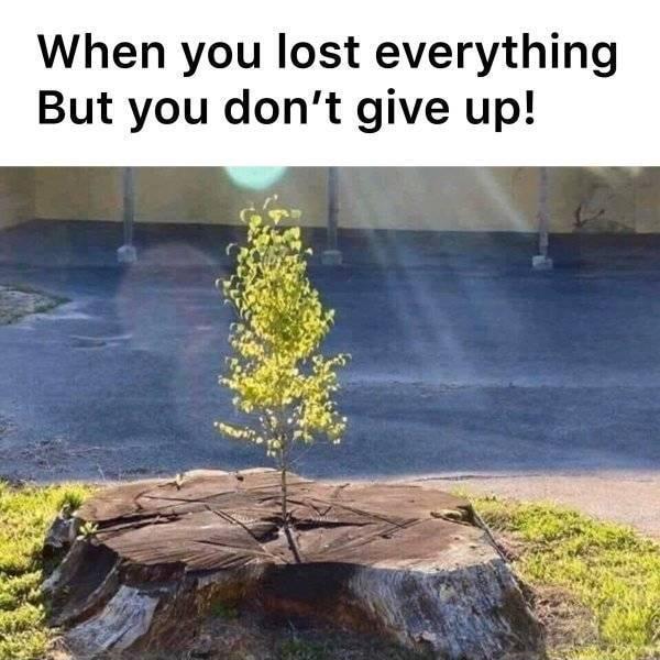 When you lost everything But you dont give up