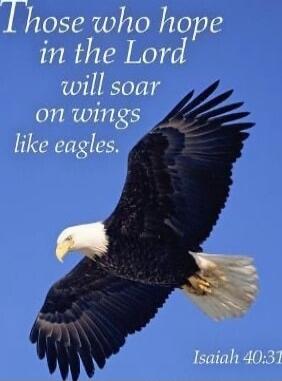 Those who hope in the Lord will soar on wings like eagles. Isaiah 40:31