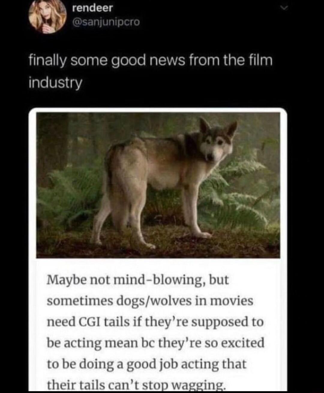 rendeer Vel LEIA e Tl e oTele RaTEVER i el R alR 1111 industry Maybe not mind blowin sometimes dogswolves in movies need CGl tails if theyre supposed to be acting mean be theyre so excited to be doing a good job acting that their tails cant stop waggin