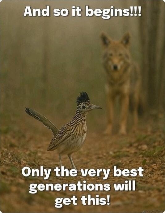 And so it begins!!!

Only the very best generations will get this!