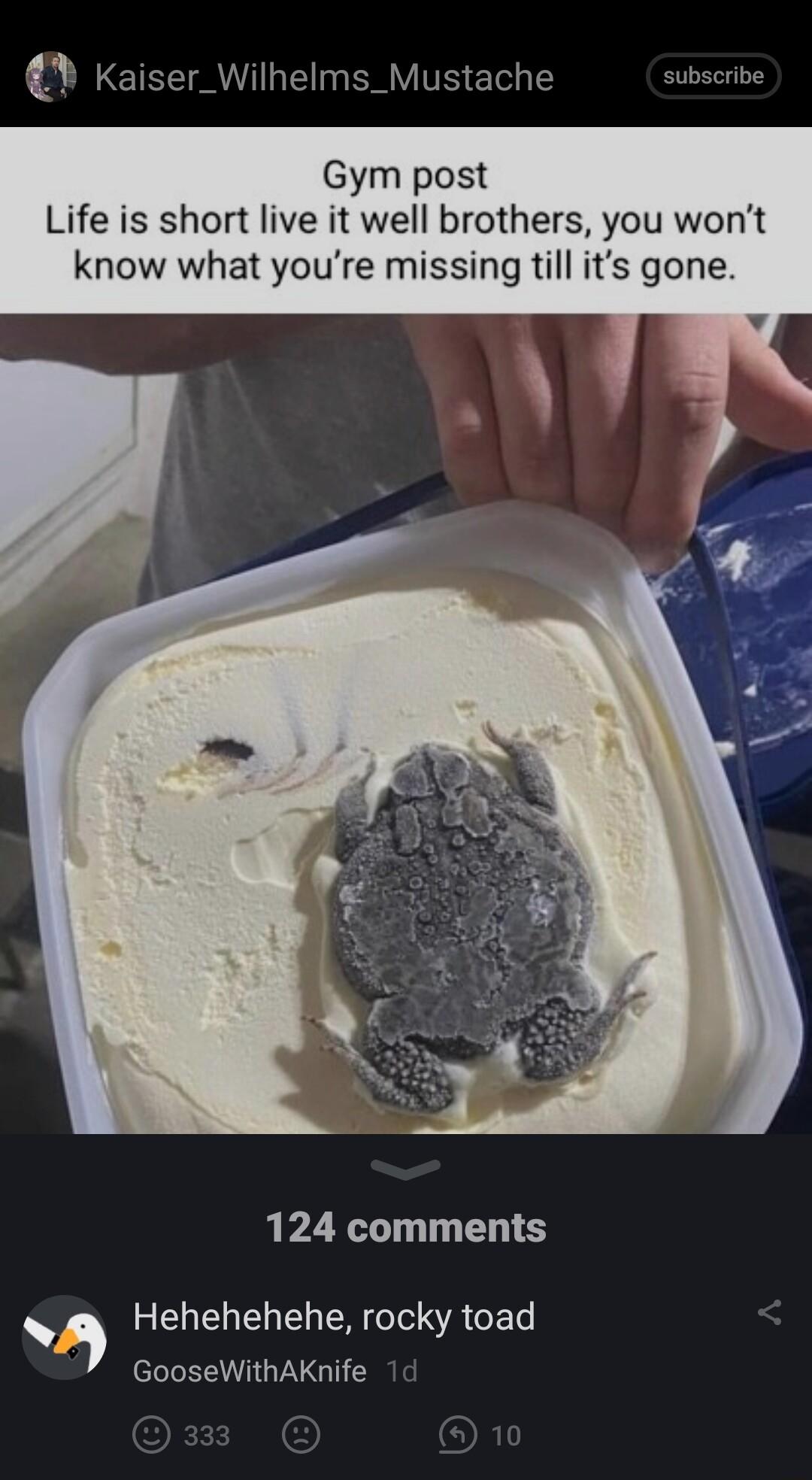 G RV T elely Gym post Life is short live it well brothers you wont know what youre missing till its gone 124 comments N Hehehehehe rocky toad V GooseWithAKnife