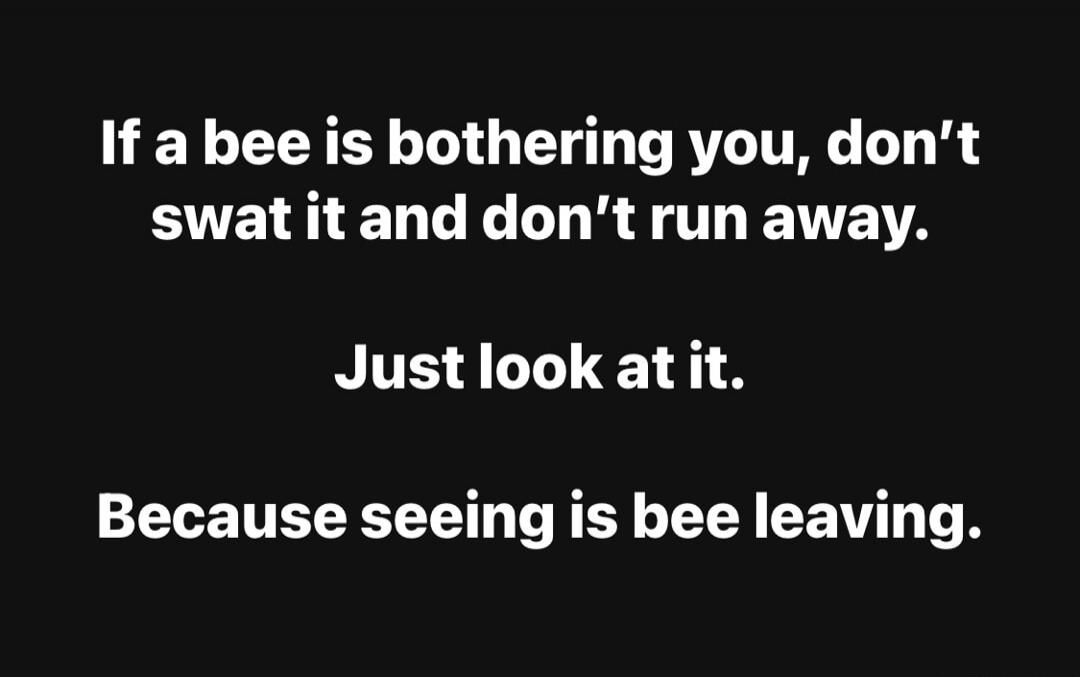 If a bee is bothering you, don't swat it and don't run away. Just look at it. Because seeing is bee leaving.