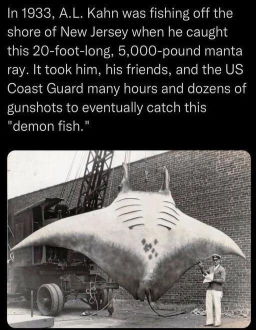 In 1933 AL Kahn was fishing off the shore of New Jersey when he caught this 20 foot long 5000 pound manta ray It took him his friends and the US o LS HEVET RN ETVAeIVERTle Ree AT Nl OO ERREVERUEVRCEI Rl demon fish