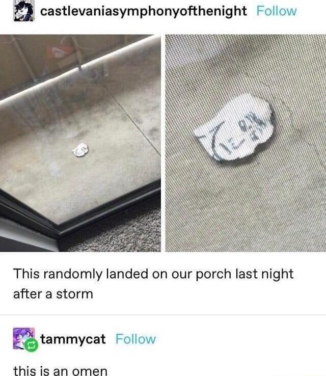 castlevaniasymphonyofthenight Follow This randomly landed on our porch last night after a storm tammycat Follow this is an omen