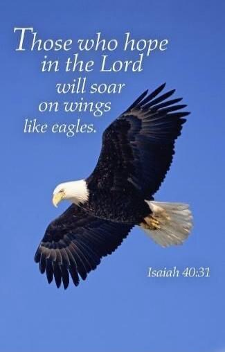 Those who hope in the Lord will soar on wings like eagles. Isaiah 40:31